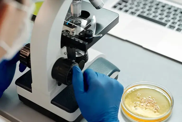 Close up of a microscope with a petri dish close-by, looked over by a scientist