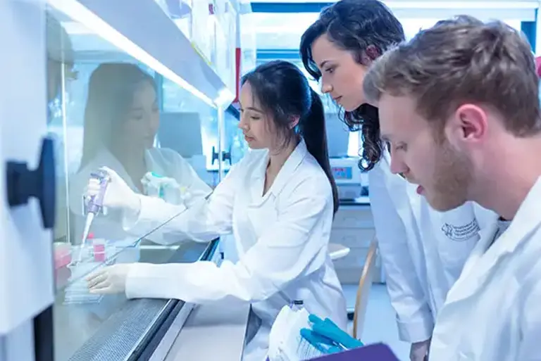 Three young scientists are working with chemicals inside a chemical fume hood