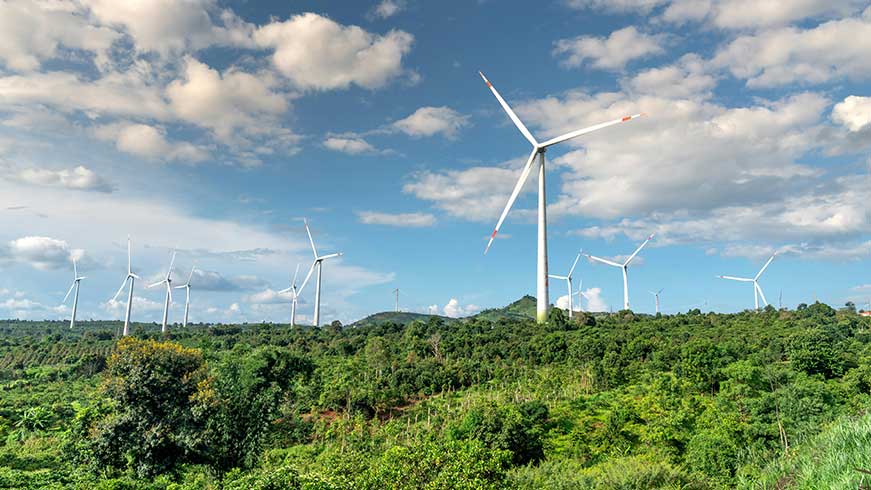 Cop28 Tree Wind Farm